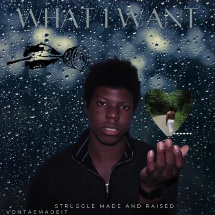 What I Want cover